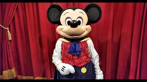 Disney Magic in Every Unfold: The Allure of Mickey Mouse Magic Towels